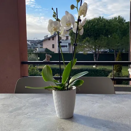 Holiday home Sosien Desenzano del Garda